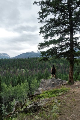 A man, a tree, and the mountains of Jasper